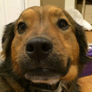 Meet your Posher, Tess